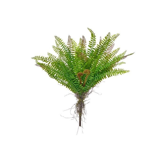 18"Soft Touch Plstc Forest Fern W/Tendril