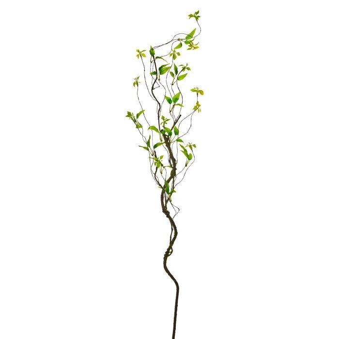 48" Wild Smilax Vine