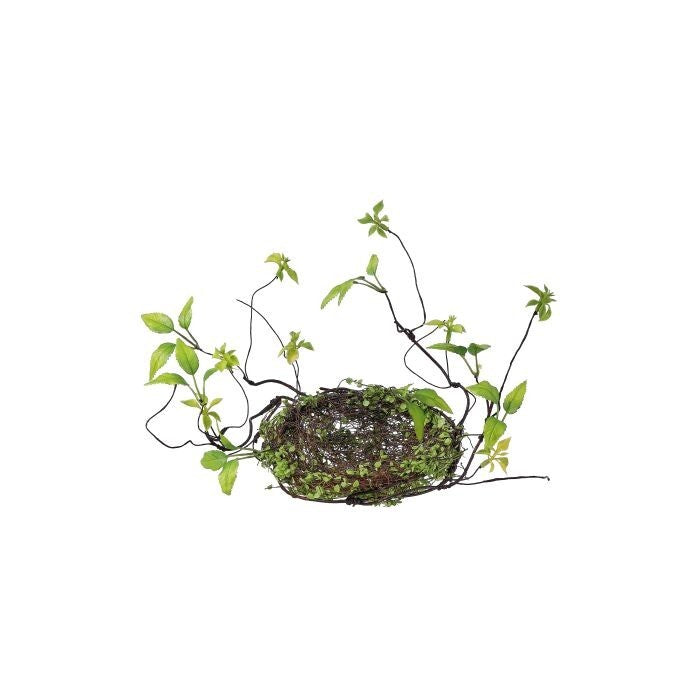 6" Baby Tears Nest W/Vine