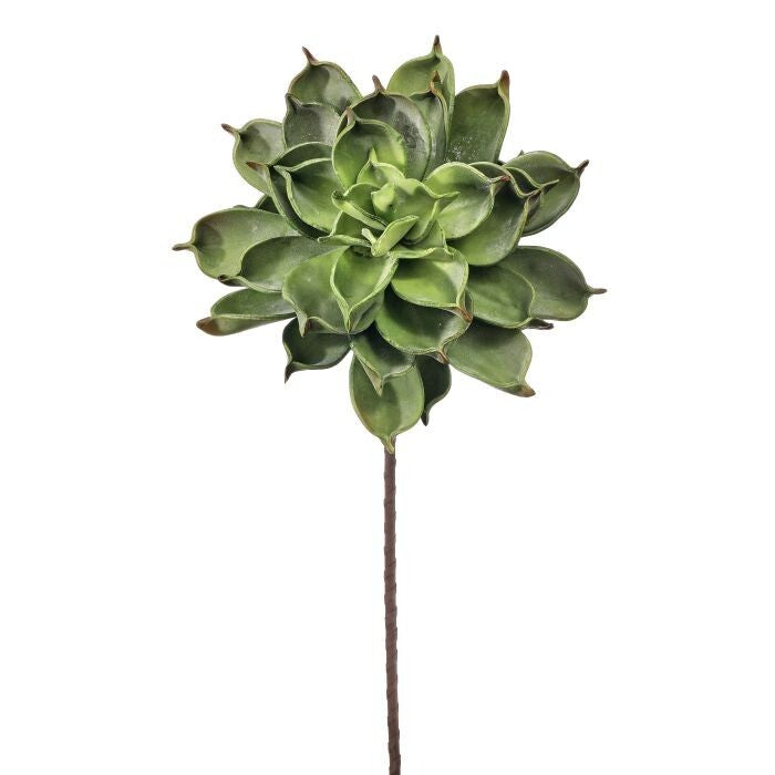 26" Foam Echeveria Stem