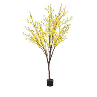 6'  Forsythia Tree