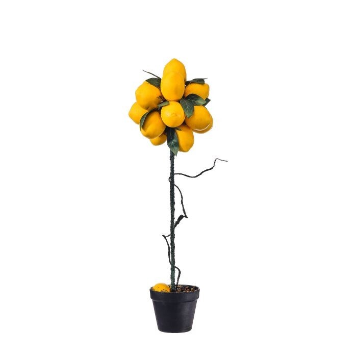 24" Lemon Potted Topiary