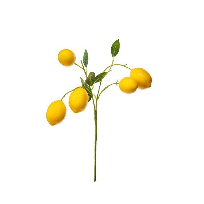 14" Lemon Branch X5