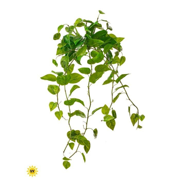 Uv Pe Natural Touch Pothos X11, 48"