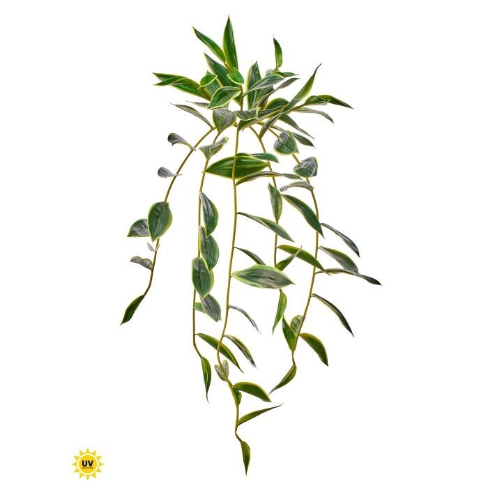Uv Natural Tch Trailing Bamboo X9, 31"