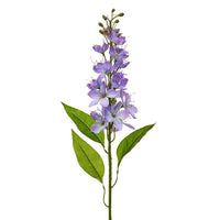 Honey Blossom Stalk 32