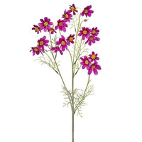 Meadow Cosmos Stem 31