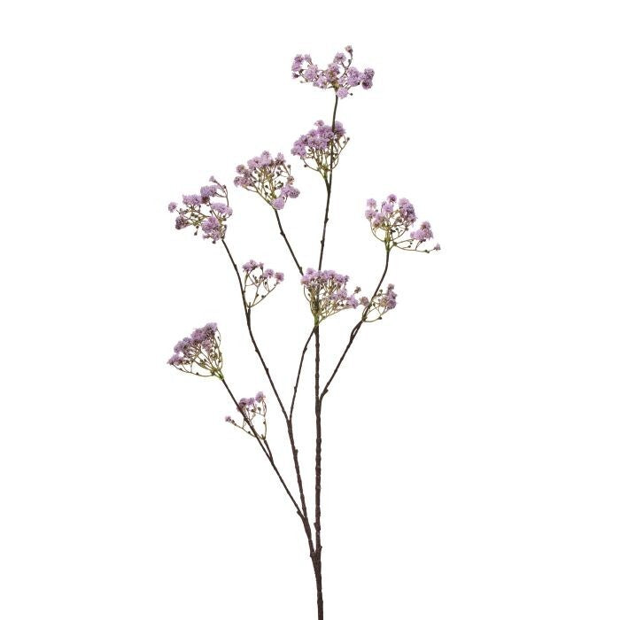 Pl. Wild Yarrow Branch X10 44"
