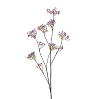 Pl. Wild Yarrow Branch X10 44