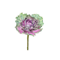 Ruffle Kale Pick 7