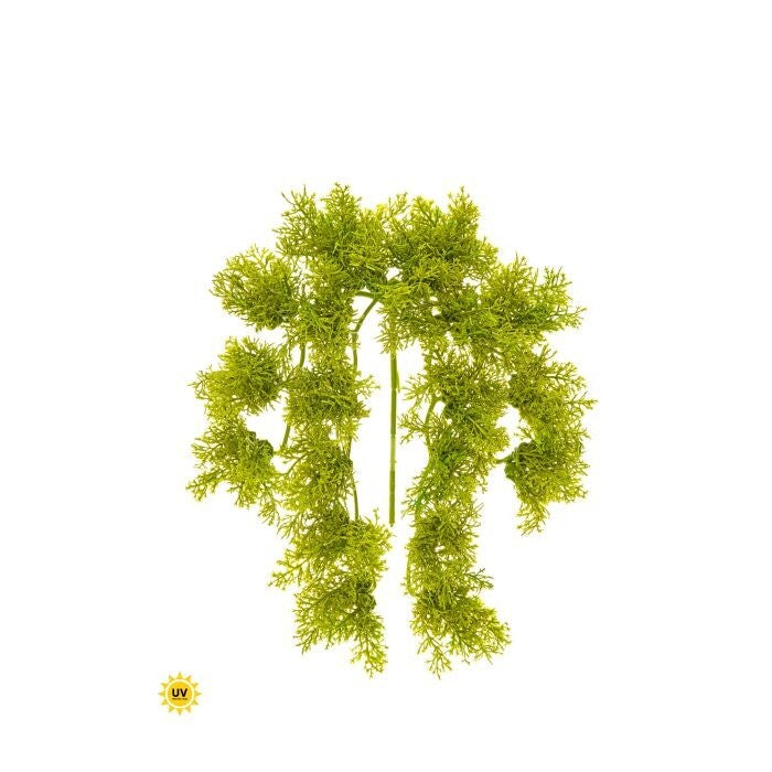 Uv Fr Pl. Soft Touch Moss Pick 10"