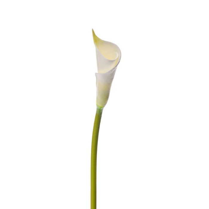 Foam Calla Lily Bud 27"
