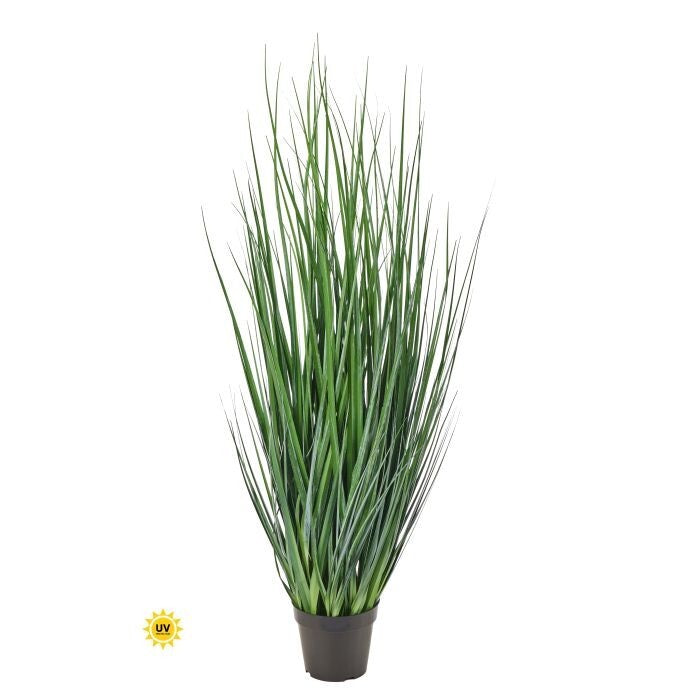 Uv Ptd Agave Grass 48"