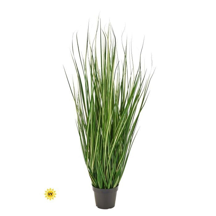 48" Uv Ptd Variegated Grass