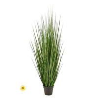 60