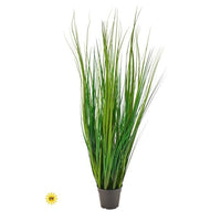 Uv Ptd Blade Grass 48