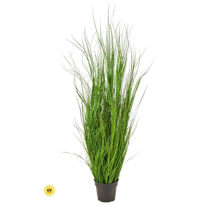 Uv Ptd Fountain Grass 60"