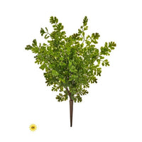 Uv Natural Touch Celery Fern Bush 17