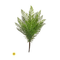 Uv Natural Touch Feather Fern Bush 19