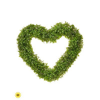 Uv Boxwood Wall Heart 19