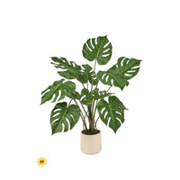 Uv Potted Monstera Plant X12 3'