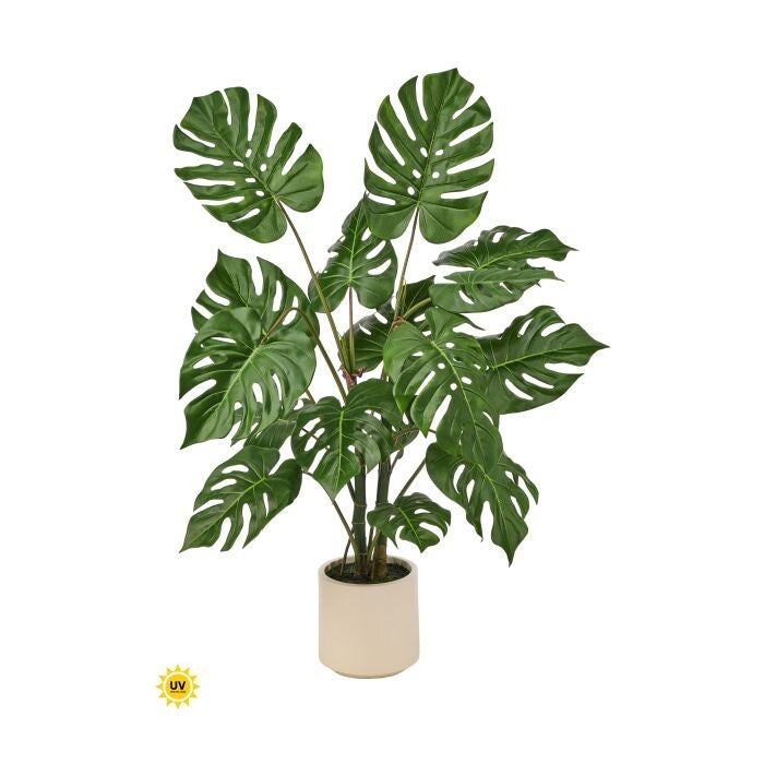 Uv Potted Monstera Plant X16 4'