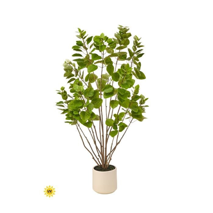 Uv Potted Smoke Tree X339 4'