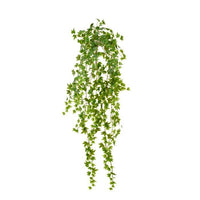 Mini Ivy Hanging Bush X479 40