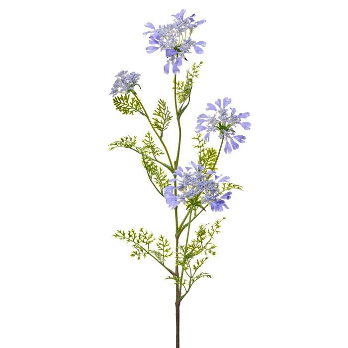 Field Yarrow Stem X 4 38"