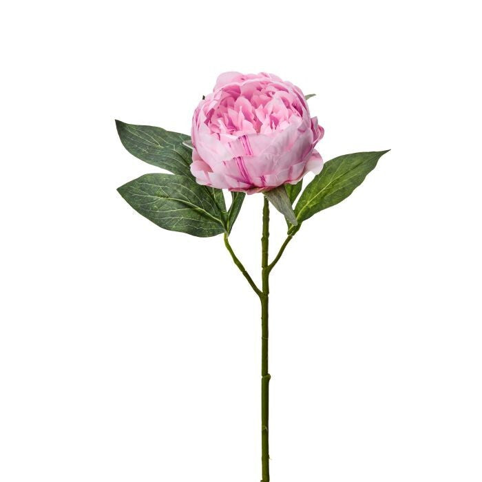 Lovely Peony Stem 21"
