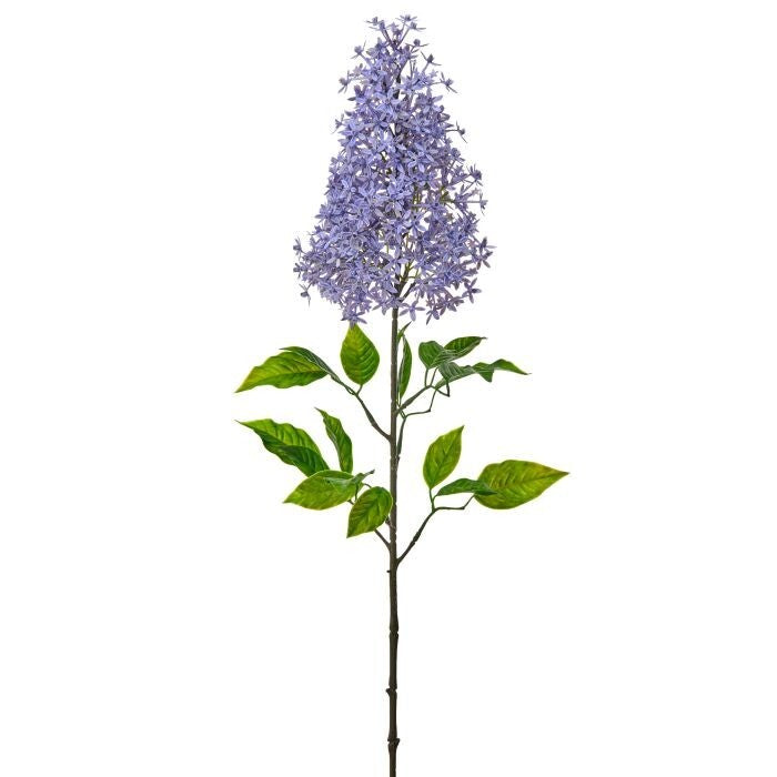 Plastic Painted Lilac 29"