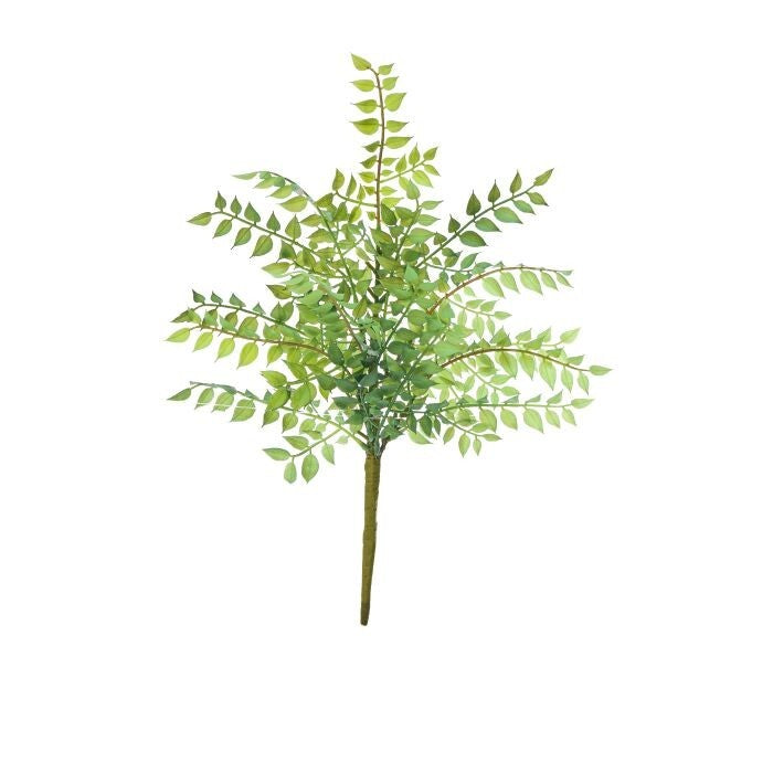 Pl. Italian Ruscus Pick 16"