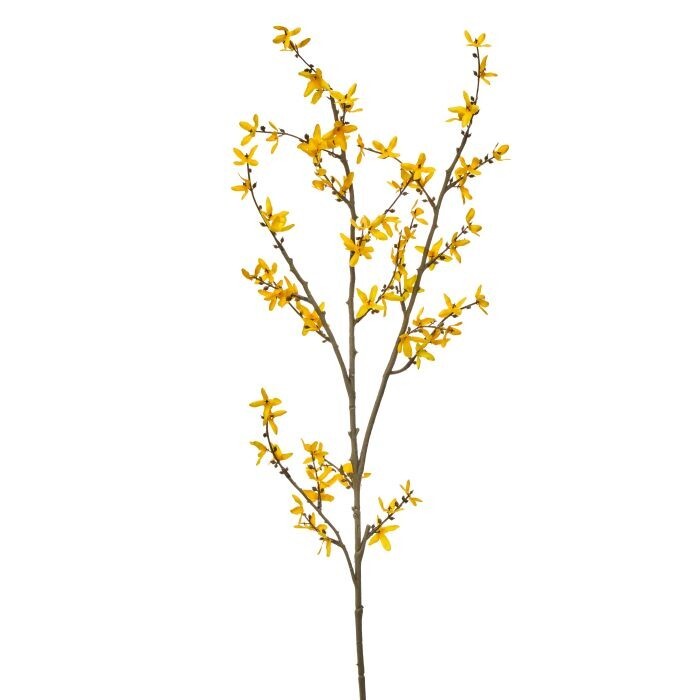 Golden Forsythia Branch 45"