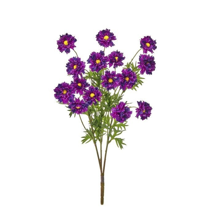 Ruffle Cosmos Bush X3 20"