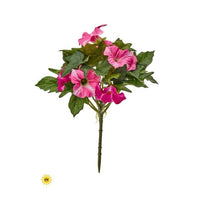 Uv Petunia Plant 13