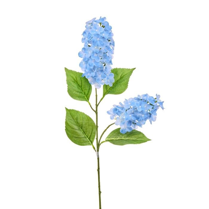 30" Pe Double Cone Hydrangea Stem