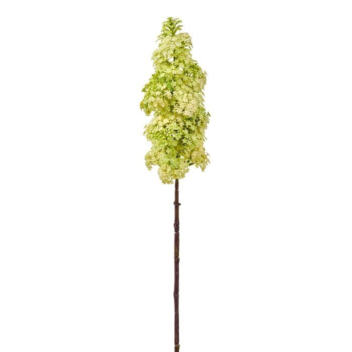 35" Dutch Wild Lilac Stem