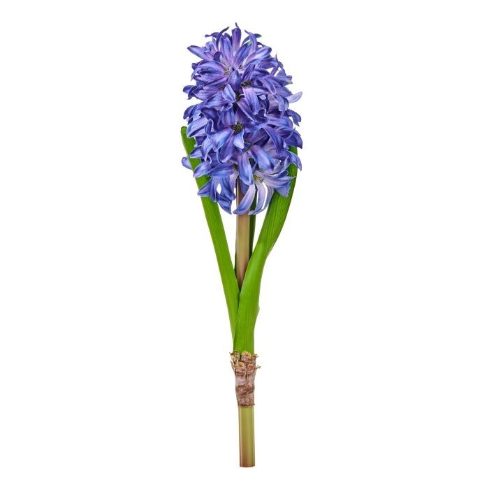 15" Spring Cut Hyacinth