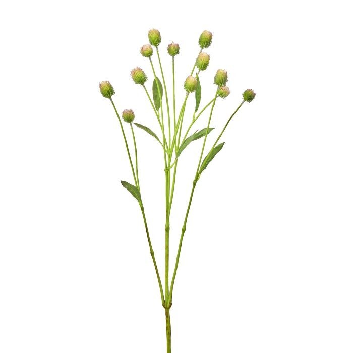 26" Wild Thistle Spray