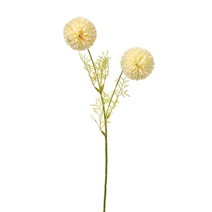 20" Snow Ball Thistle X2 Stem