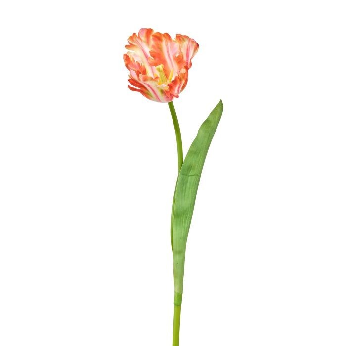 24" Soft Touch French Parrot Tulip Stem