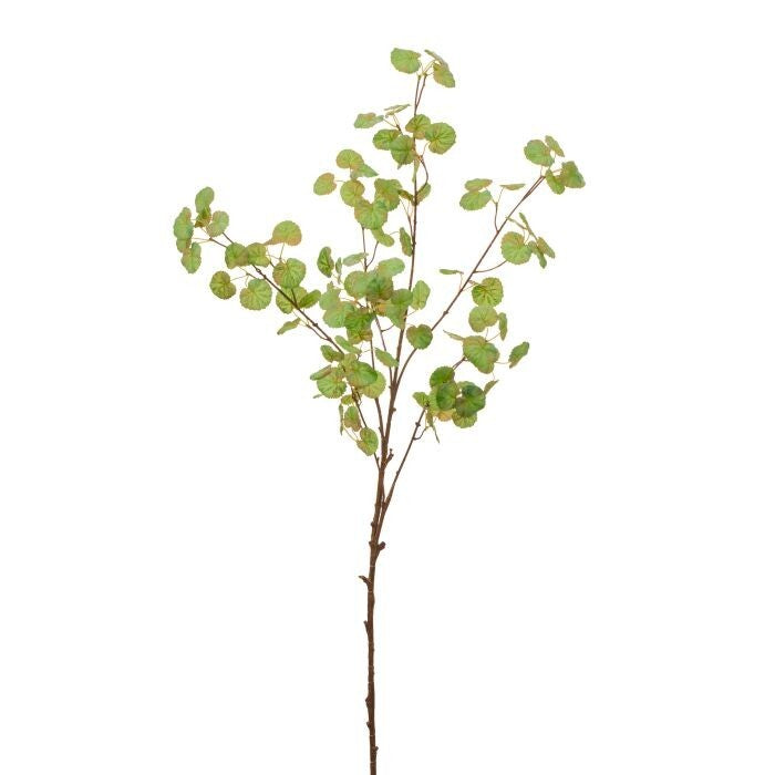 45" Hederacea Leaf Branch