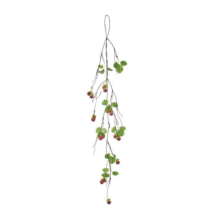 36" Raspberry Vine