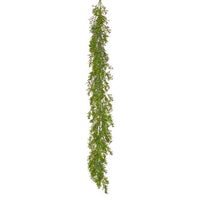 6' Pl. Uv Milano Boxwood Garland