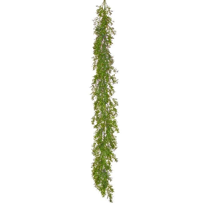6' Pl. Uv Milano Boxwood Garland