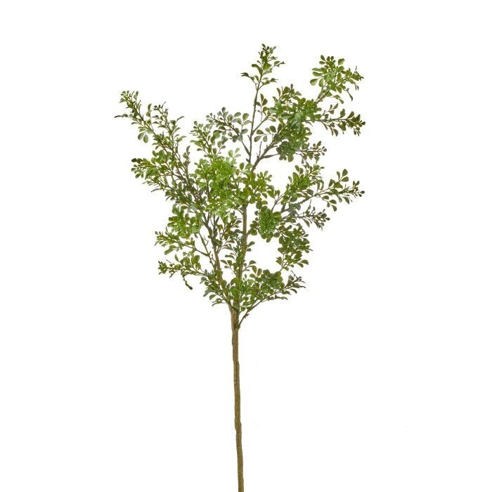 42" Pl.Uv Milano Boxwood Branch
