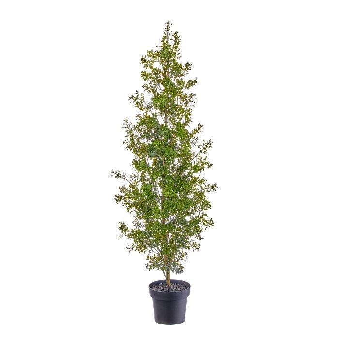 55" Ptd. Pl.Uv Milano Boxwood Column