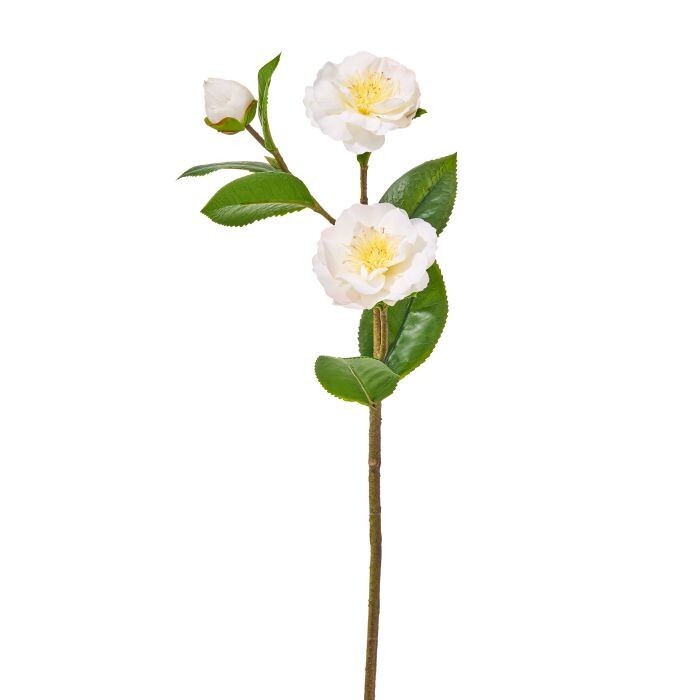 25" Mature Camelia Spray X2 +Bud