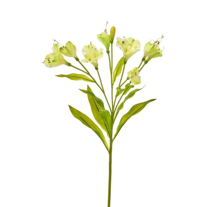 26" Alstroemeria Stem