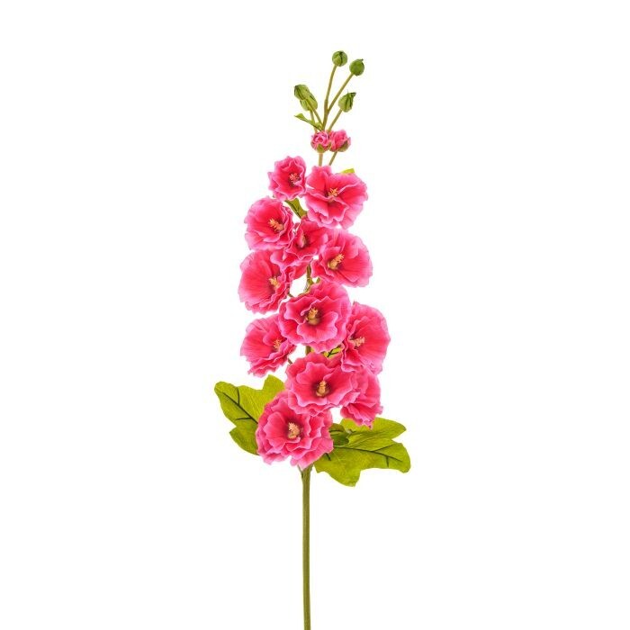 42" English Hollyhock Stem